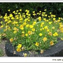 웅천초등학교 이미지