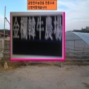 금란농장 이미지