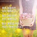 5월 마지막주 좋은 인사말 이미지