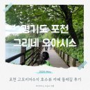 길카페 | 그리네 오아시스 포천 고모리 고모저수지 카페 둘레길 후기