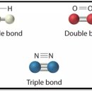 알칸(alkane) vs 알켄(alkene) vs 알킨(alkyne) : 칸/켄/킨kane/kene/kyne 이미지