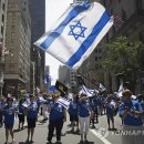 (주)엘디와이 이미지