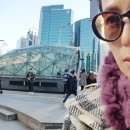 하미마을회관 네이버블로그