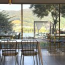 운암애견 이미지