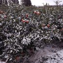 그곳 팬션 민박 이미지