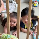 은나네 | 육아일기:D+118~130 / 짠내나는 라이프