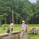 토종흑염소 이미지