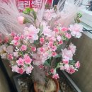 소녀폰인천