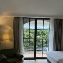(주)에코비즈넷 | [제주] 에코랜드 호텔 - 제주 수영장 호텔 추천, 느좋/감성 숙소 추천