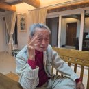 다라1천 이미지