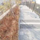 에일린의뜰공인중개사사무소 이미지