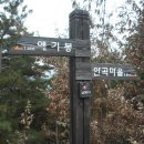 함파우길 이미지