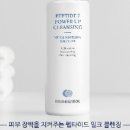 비손 비격