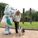 청양조명
