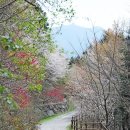 해오름길 이미지