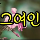 그여인 / 유상록 이미지