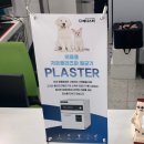 시민동물병원 이미지