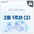 심우전기