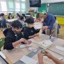 대천 초등학교 이미지