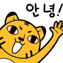 꼬마국시