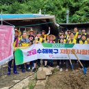 강중식신경외과 Daum카페