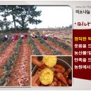 솔티농원 이미지