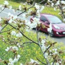 표선리-19 이미지