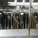 화성목장 이미지