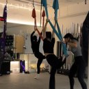 펄스그라운드 이미지