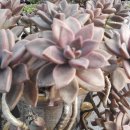 지혜의샘터 이미지