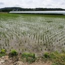 뽑기이야기 이미지