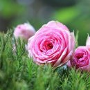 내서고속버스터미널 이미지