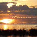 경보행정사 이미지