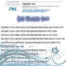 샤크호