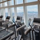 찬스휘트니스 이미지