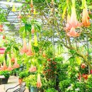 노을정원 | [충남/가볼만한곳]서산 쉼이있는정원, 20년 정성이 만든 정원카페 봄꽃 여행 코스