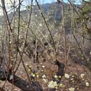 화이트빌리지 이미지