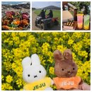 탑동 테마거리 | 4월 제주 2박3일 여행코스 추천 맛집 카페 액티비티 호텔 🌸