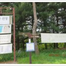 메기대감 이미지