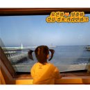 강릉경포캬라반파크 | 오션뷰와 일출뷰가 예술인 강릉 경포 카라반 파크 내돈내산 후기