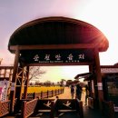 순천만힐링 이미지