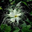 탑골농원 이미지