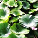 월영동011 이미지