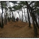 신곡초교 네이버블로그