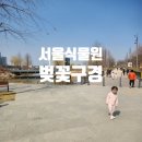 함께걷기 로뎀나무지역아동센터 | 마곡식물원 서울 벚꽃 명소