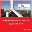 SK쏠라 태양광발전소 | "국제유가 급등에 SK이터닉스 신고가" 10일만에 2배오른 이유는?