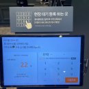 애슐리퀸즈 뉴코아 강남점 주말 런치 내돈내산 후기 할인 꿀팁까지