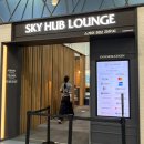 공항진입로 | 부산 김해공항 국제선 스카이허브라운지 이용권 가격 카드 음식 후기