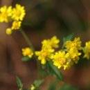 원동재로 이미지