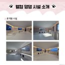 조원동-30 | 수원시 장안구 조원동 웰컴댕댕 후기 수원 애견호텔